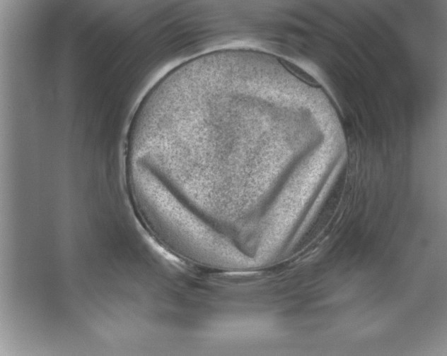 X0000067361151200604212021