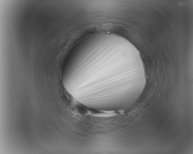 X0000067361153200604212020