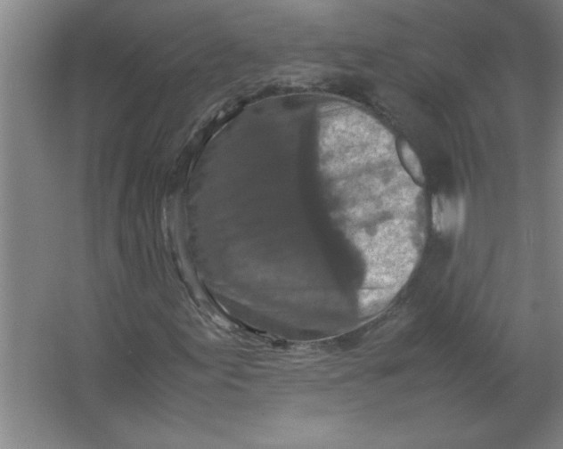 X0000067361155200604212020