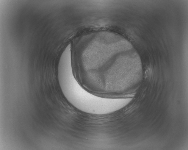 X0000067361156200604212020