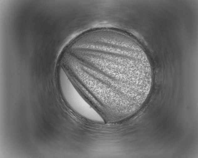 X0000067361167200604212020