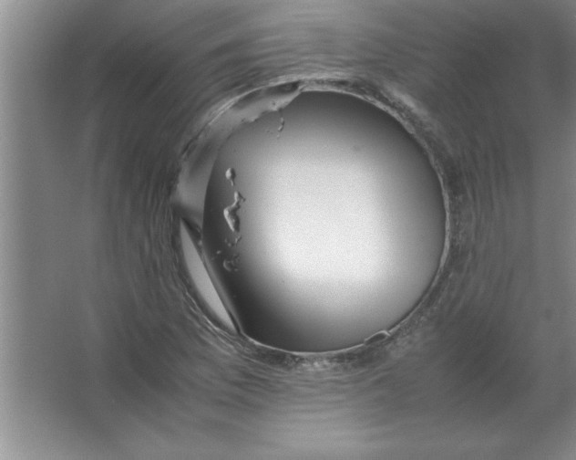 X0000067361169200604212020