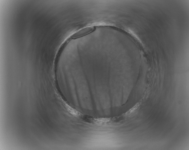 X0000067361173200604212020