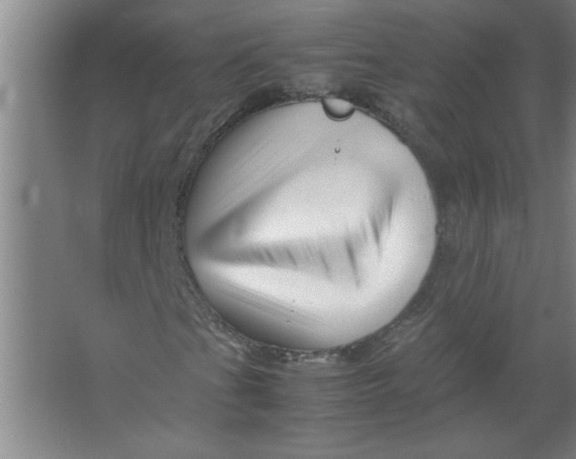 X0000067361201200604212019