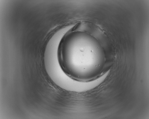 X0000067361206200604212019