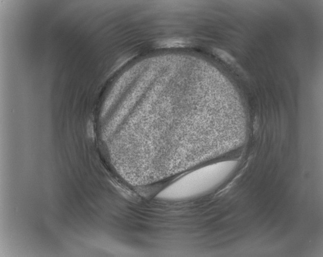 X0000067361209200604212019