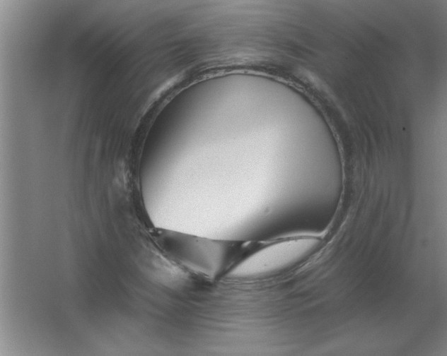 X0000067361210200604212019