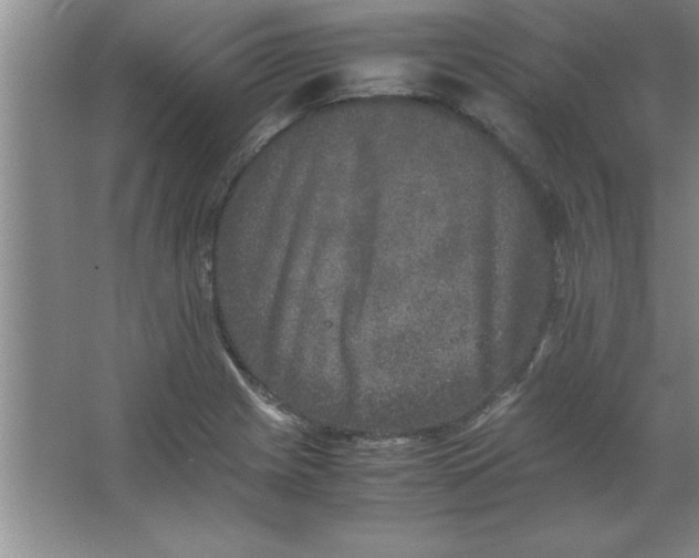 X0000067361225200604212019