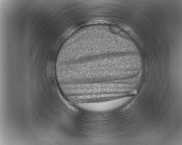 X0000067361233200604212019