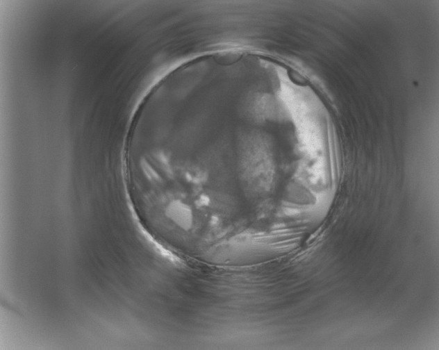 X0000067361239200604212019