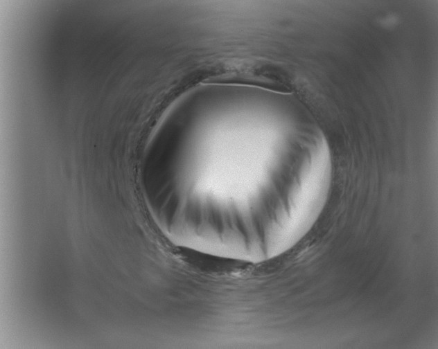 X0000067361249200604212019
