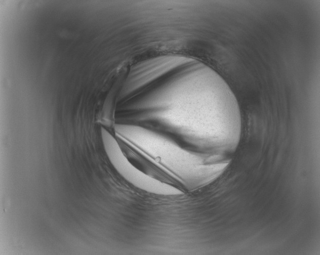 X0000067361250200604212019