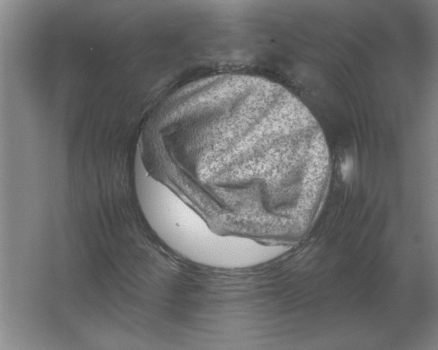 X0000067361252200604212018