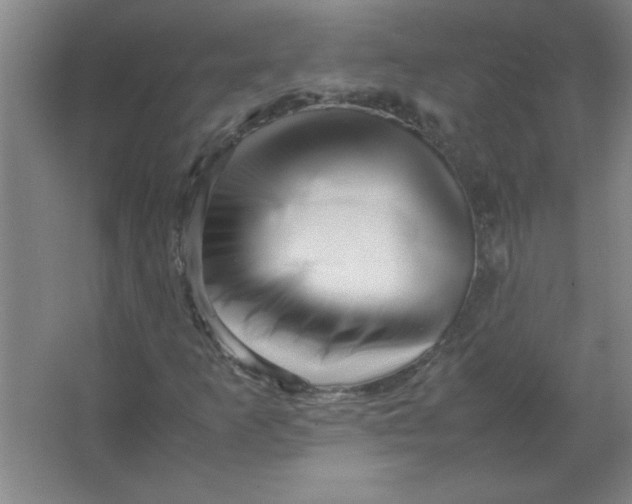 X0000067361253200604212018