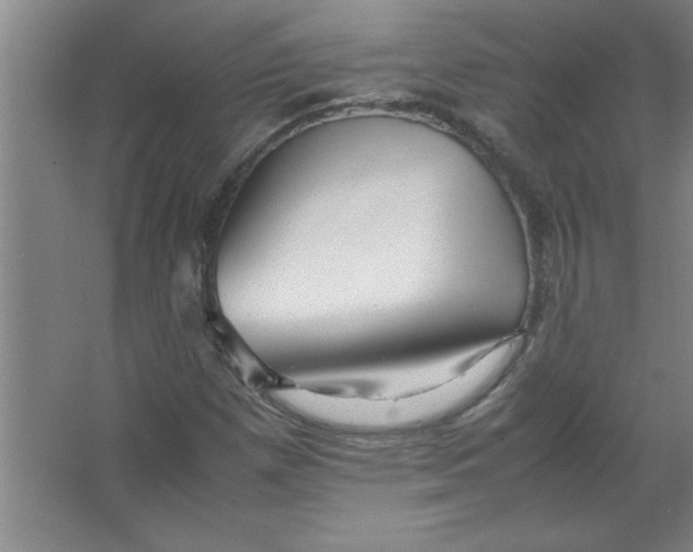 X0000067361257200604212018