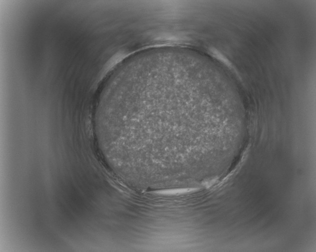 X0000067361259200604212018