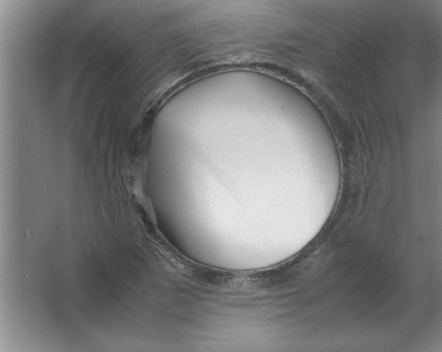 X0000067361265200604212018