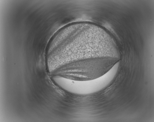 X0000067361268200604212018