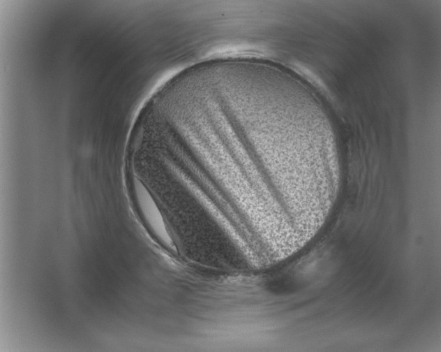 X0000067361277200604212018