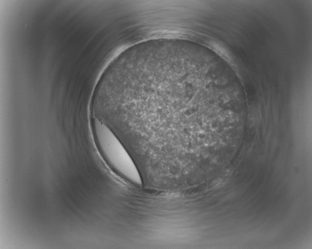 X0000067361283200604212018