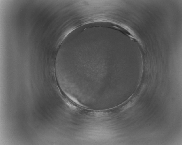 X0000067361289200604212018