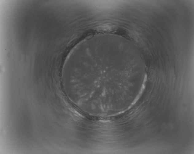 X0000067361297200604212017