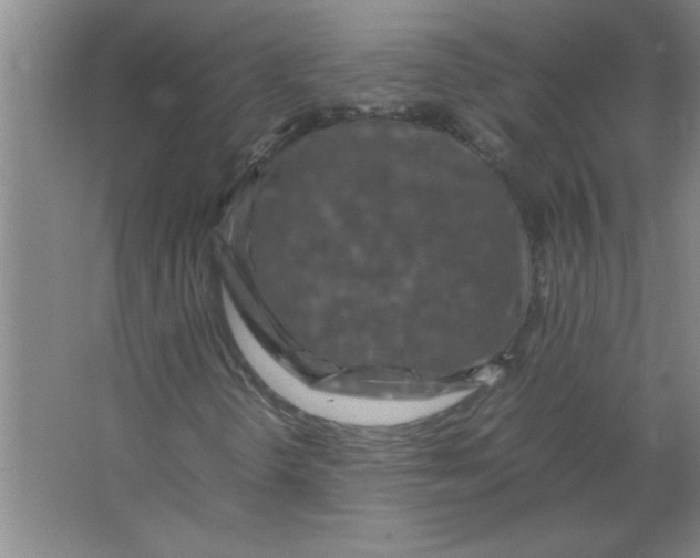 X0000067361298200604212017
