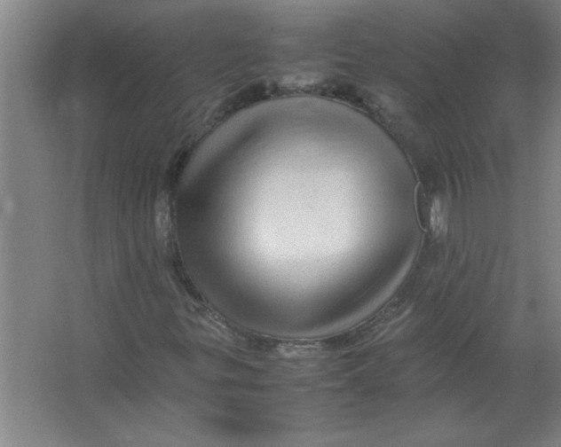 X0000067361299200604212017