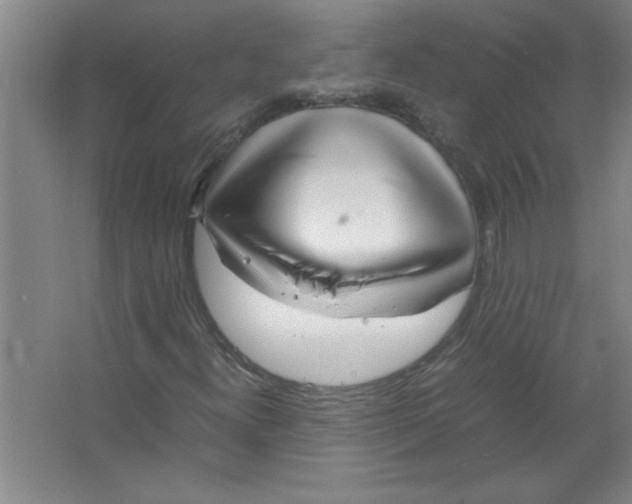 X0000067361300200604212017