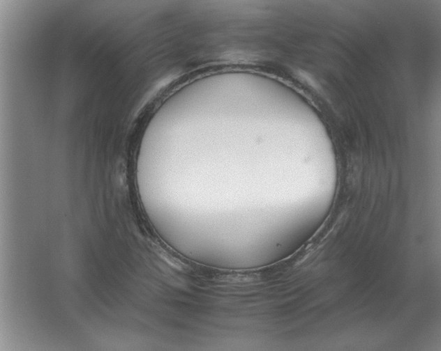 X0000067361307200604212017