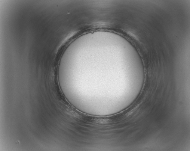 X0000067361309200604212017