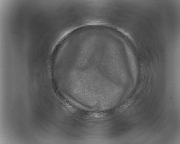 X0000067361311200604212017