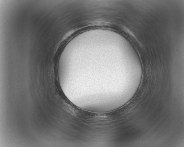 X0000067361315200604212017