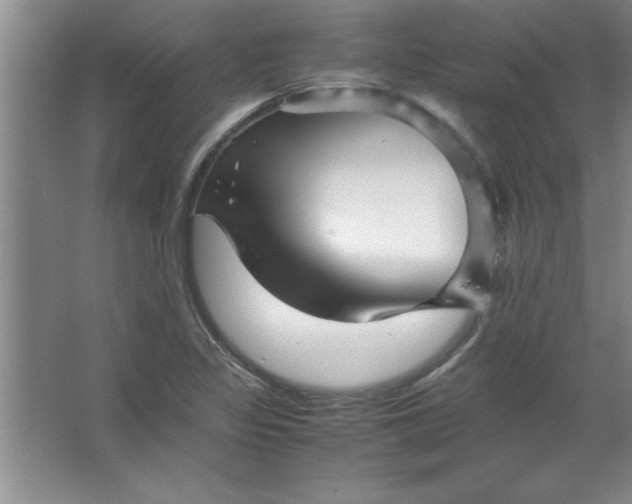 X0000067361317200604212017