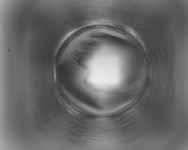 X0000067361320200604212017