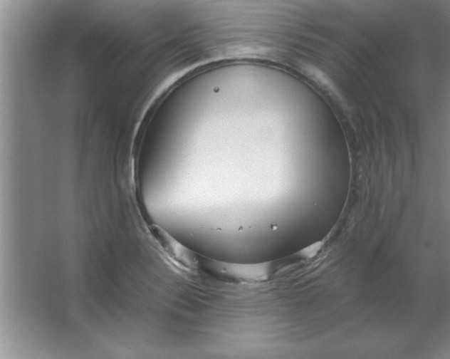 X0000067361324200604212017