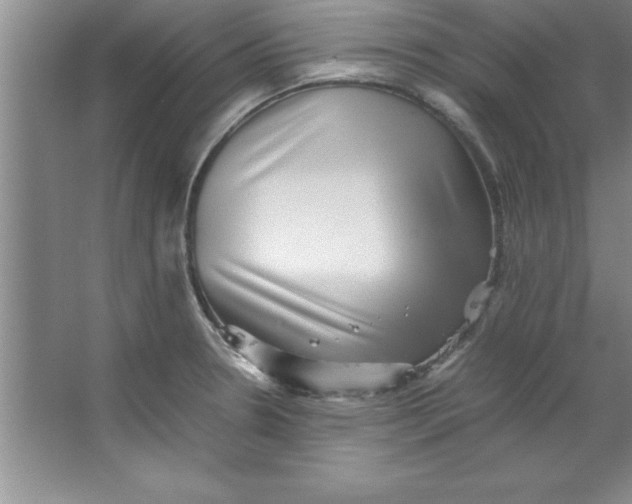 X0000067361330200604212017