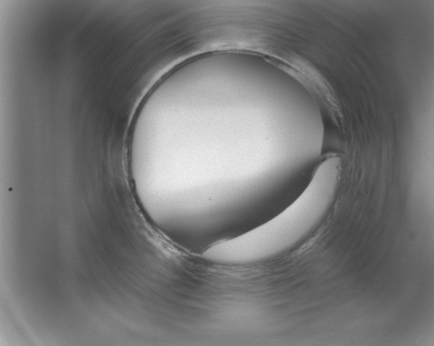 X0000067361340200604212018