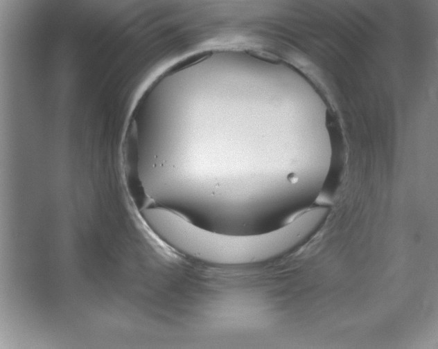 X0000067361344200604212018