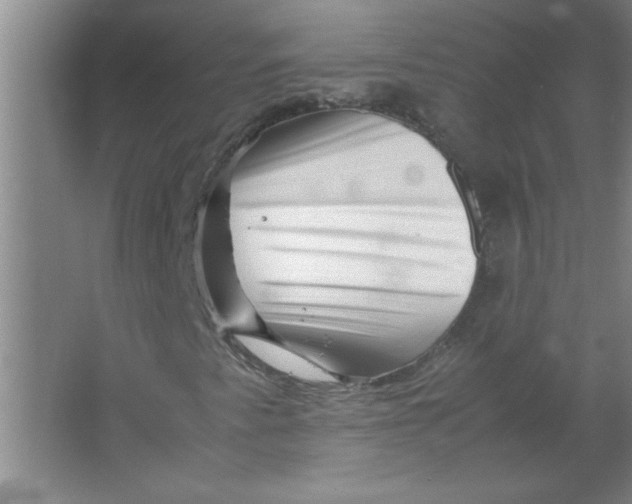 X0000067361345200604212017