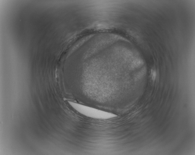 X0000067361348200604212017