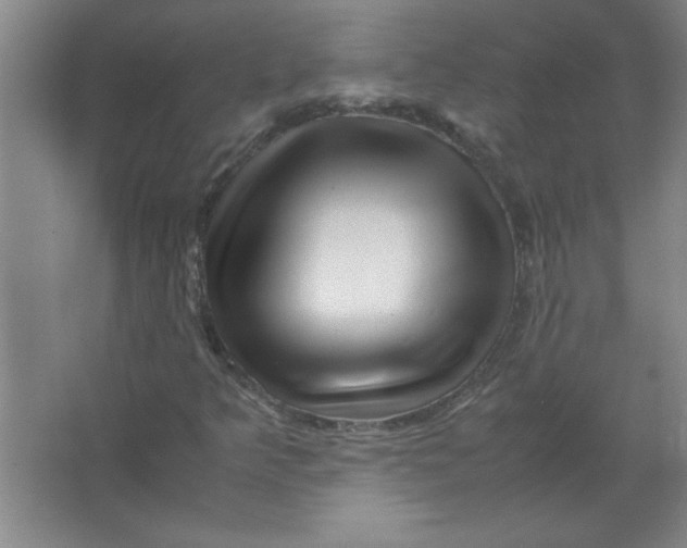 X0000067361349200604212017