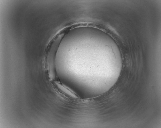 X0000067361352200604212017