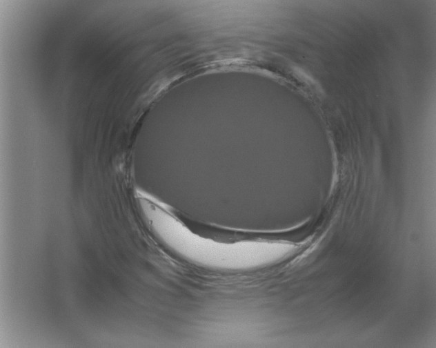 X0000067361353200604212017