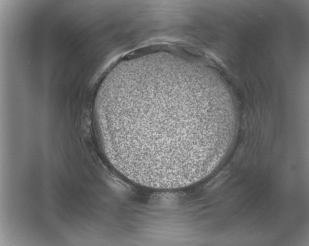 X0000067361355200604212017