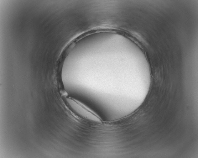 X0000067361356200604212017