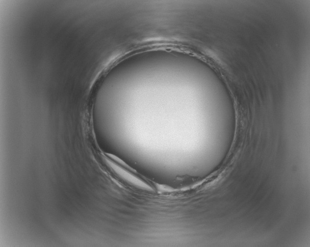 X0000067361357200604212017