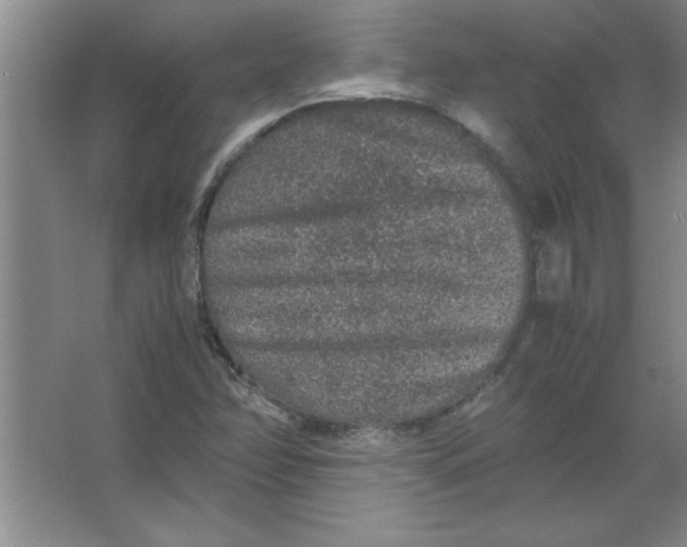 X0000067361358200604212017