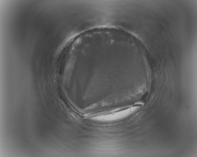 X0000067361359200604212017