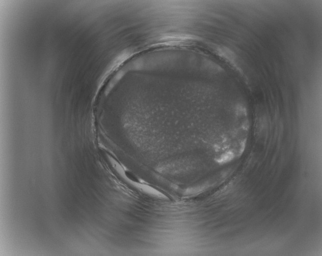 X0000067361362200604212017